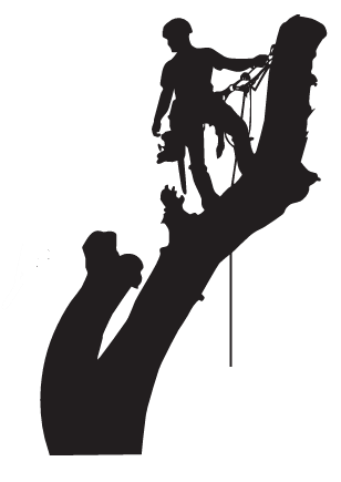 The Arborist King LLC